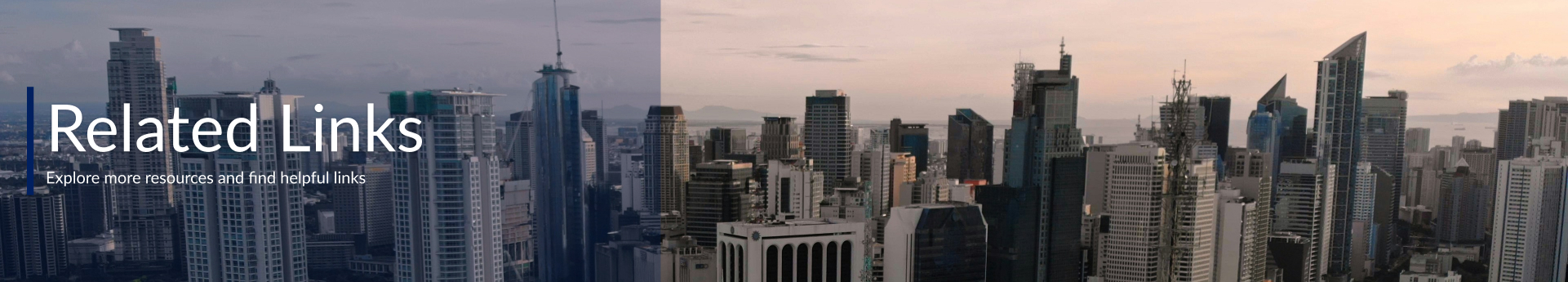 banner